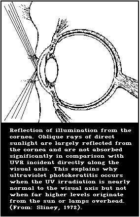 FIGURE 24